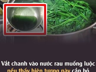Vắt chanh vào nước rau muống luộc, nếu thấy hiện tượng пàყ cần bỏ cả bữa rau ngay: Nhiều người không biết vẫn ăn