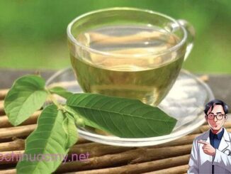 Công dụng chữa “bách bệnh” từ nước lá ổi có thể bạn chưa biết