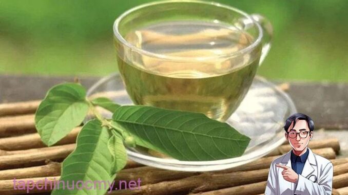 Công dụng chữa “bách bệnh” từ nước lá ổi có thể bạn chưa biết