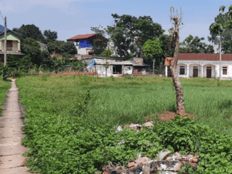 Cách chuyển đất vườn sang đất ở không phải đóng thêm tiền sử dụng đất, ai không biết cách là thiệt lớn