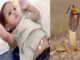 Bé trai 2 tuổi cắn chết rắn hổ mang và may mắn sống sót
