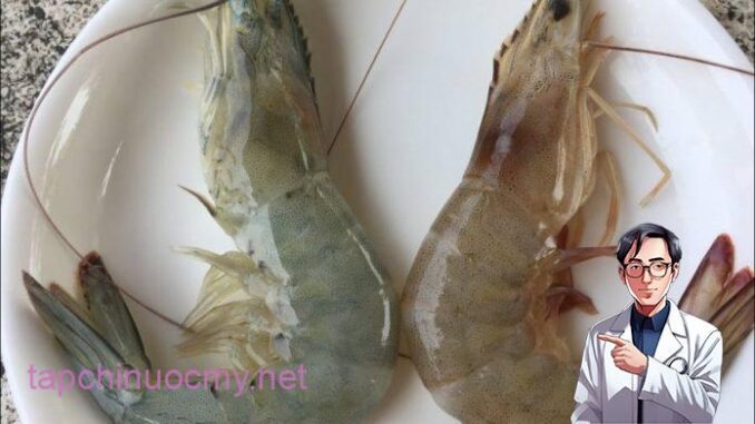 Người bán tôm rỉ tai: Cách phân biệt tôm nuôi và tôm tự nhiên cực dễ, ai cũng làm được Người bán tôm rỉ tai: Cách phân biệt tôm nuôi và tôm tự nhiên cực dễ, ai cũng làm được