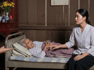 Chồng bỏ đi, con dâu ở lại chăm mẹ chồng liệt suốt 20 năm và cái kết bất ngờ