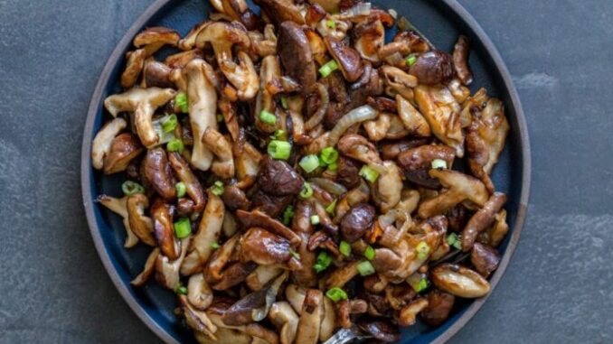 Việt Nam có một “thần dược” chống uпg thư, kéo dài tuổi thọ, cứ ra chợ là thấy