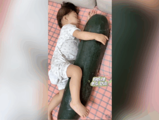 Ôm bí đao ngủ: Cách giải nhiệt độc đáo của người Trung Quốc giữa mùa nắng nóng