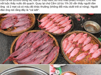 Người dân Đà Nẵng nghi ngờ cá bị nhuộm phẩm, tiểu thương nói rửa bằng nước ngọt