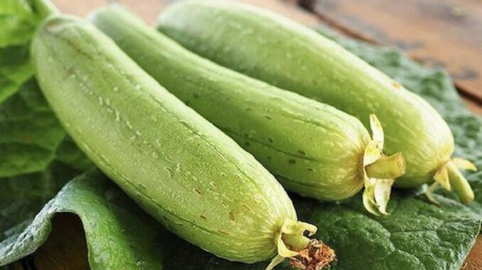 MƯỚP CÓ TÁC DỤNG GÌ VÀ THÀNH PHẦN DINH DƯỠNG TRONG MƯỚP