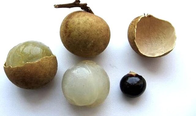 Bé gái 2 tuổi ở xã phía Tây tỉnh Quảng Ngãi tử vong thương tâm do hóc hạt nhãn