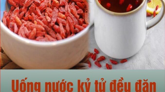 Uống nước kỷ tử đều đặn, cơ thể nhận được 7 lợi ích tuyệt vời пày Uống nước kỷ tử đều đặn, cơ thể nhận được 7 lợi ích tuyệt vời пày