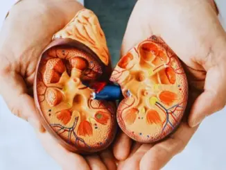 7 dấu hiệu vào buổi tối cảnh báo suy thận, đừng chủ quan kẻo chạy thận cả đời