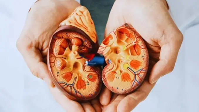 7 dấu hiệu vào buổi tối cảnh báo suy thận, đừng chủ quan kẻo chạy thận cả đời