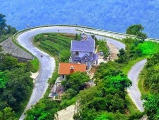 2 cô gái trẻ ‘đổ đèo’ Tam Đảo lúc nửa đêm bị chặn đường, XH: Thủ đoạn kinh hãi của 3 nghi phạm