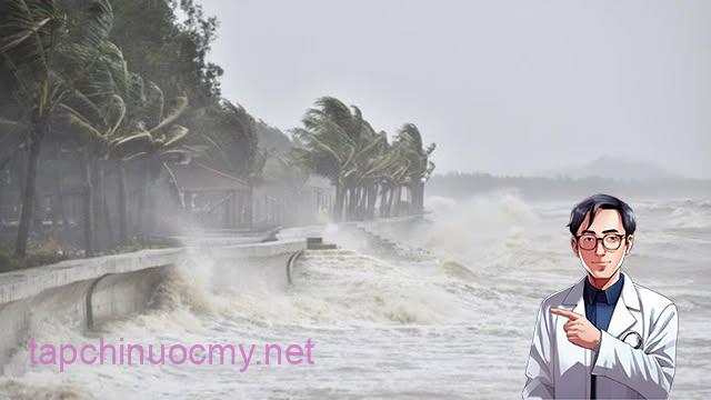 Bão Wipha đã vào Vịnh Bắc Bộ, khả năng tăng 2 cấp trong hôm nay Bão Wipha đã vào Vịnh Bắc Bộ, khả năng tăng 2 cấp trong hôm nay
