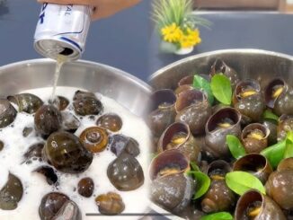 Thả thứ này vào chậu, ngao ốc nhả hết bùn bẩn, béo ngậy gấp 5 lần