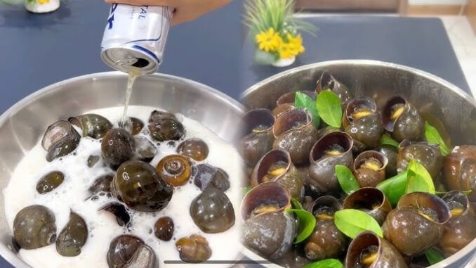 Thả thứ này vào chậu, ngao ốc nhả hết bùn bẩn, béo ngậy gấp 5 lần Thả thứ này vào chậu, ngao ốc nhả hết bùn bẩn, béo ngậy gấp 5 lần