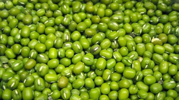 NHỮNG LỢI ÍCH CỦA ĐẬU XANH ĐỐI VỚI SỨC KHỎE VÀ SẮC ĐẸP ÍT NGƯỜI BIẾT