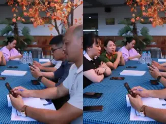 Vụ gián xuất hiện trong món ăn: Xử phạt nhà hàng 12 triệu đồng