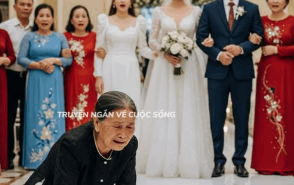 Chị gái gửi tiền về nuôi mẹ và em, rồi chết lặng khi biết họ lén lút sang tên sổ đỏ. Đến đám cưới con trai, mẹ và em đã phải quỳ xuống, Chị nói một câu khiến mọi người choáng váng…