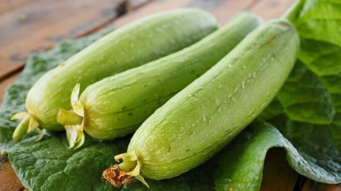 Ra chợ mua mướp: Nên chọn vỏ xanh đậm hay nhạt Ra chợ mua mướp: Nên chọn vỏ xanh đậm hay nhạt