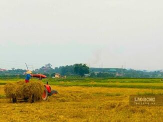 Chuyển đất nông nghiệp lên đất ở dễ
