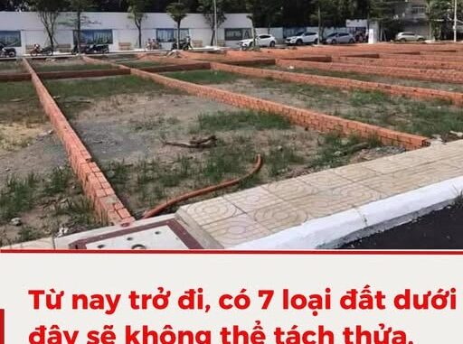 Có 7 loại đất không thể tách thửa, ai cũng cần biết tránh rủi ro