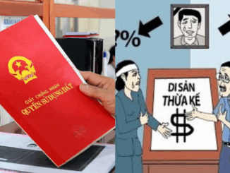 Năm 2025: 5 trường hợp dù là con ruột cũng không được nhận thừa kế nhà đất từ cha mẹ