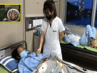 Hai người tử vong sau khi ăn tiết canh lợn