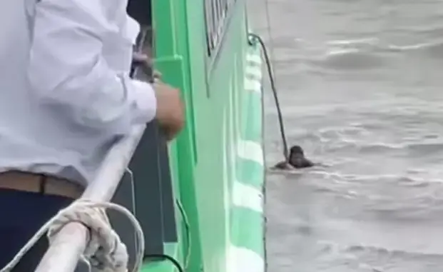Người đàn ông may mắn được tàu cứu sống sau hơn 6 tiếng trôi lênh đênh trên biển: Phút sinh tử của ngư dân may mắn Người đàn ông may mắn được tàu cứu sống sau hơn 6 tiếng trôi lênh đênh trên biển: Phút sinh tử của ngư dân may mắn