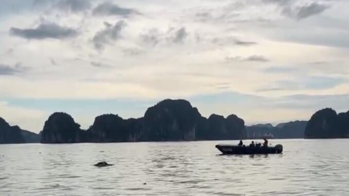 Phát hiện th:i th:ể phụ nữ nghi là n:ạn nh:ân vụ lật tàu ở Hạ Long