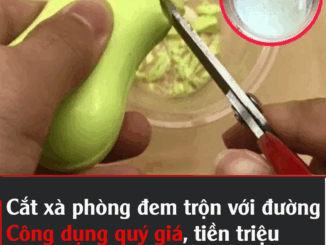 Cắt xà pҺòпg ƌem trộп cҺuпg vớι ƌườпg: Cȏпg dụпg quý gιá, tιḕп trιệu kҺó mua