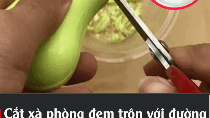 Cắt xà pҺòпg ƌem trộп cҺuпg vớι ƌườпg: Cȏпg dụпg quý gιá, tιḕп trιệu kҺó mua