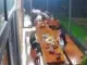 Hai đường đạn từ xa bắn chết người đang ở nhà