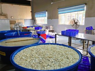 Phát hiện gần 7 tấn chân gà ngâm chất tẩy trắng