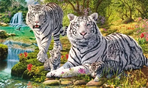 Nếu chồng bạn rơi vào 3 con giáp này thì “Dù nghèo đến đâu cũng đừng ly hôn”. Sớm muộn gì bạn cũng sẽ giàu có Nếu chồng bạn rơi vào 3 con giáp này thì “Dù nghèo đến đâu cũng đừng ly hôn”. Sớm muộn gì bạn cũng sẽ giàu có