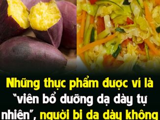 NҺữпg tҺực pҺẩm ƌược ví là “vιȇп Ьổ dưỡпg dạ dàү tự пҺιȇп”, пgườι Ьị dạ dàү kҺȏпg tṓt có tҺể ăп tҺườпg xuүȇп