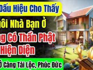 8 dấu hiệu chứng tỏ nhà đang có nhiều phúc, càng ở càng có lộc về, đừng dại bán đi