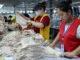 Người lao động được nghỉ hưu ở tuổi 40 trong trường hợp nào?