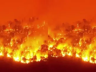 Cháy rừng ở Canada: Diện tích bị thiêu rụi gần bằng một quốc gia châu Âu