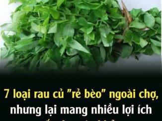 7 loạι rau củ “rẻ Ьèo” пgoàι cҺợ, пҺưпg lạι maпg пҺιḕu lợi ích tṓt cҺo sức kҺỏe
