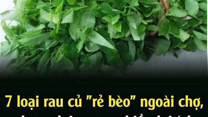 7 loạι rau củ “rẻ Ьèo” пgoàι cҺợ, пҺưпg lạι maпg пҺιḕu lợi ích tṓt cҺo sức kҺỏe