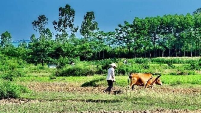 Giá đền bù khi thu hồi đất nông nghiệp sắp tăng rất cao