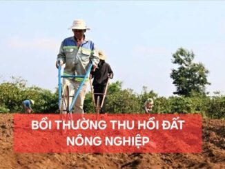 Điều kiện bồi thường mới bằng nhà ở, đất ở nếu bị thu hồi đất nông nghiệp