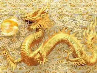Tháng 7 tới: 4 con giáp tai họa có thể ập tới bất cứ lúc nào nếu vượt qua, tháng 8 sẽ giàu sụ
