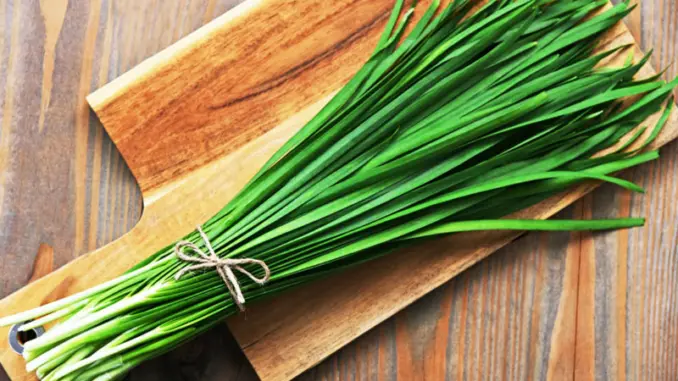 Lá hẹ có tác dụng gì? Những lợi ích sức khỏe của lá hẹ có thể bạn chưa biết Lá hẹ có tác dụng gì? Những lợi ích sức khỏe của lá hẹ có thể bạn chưa biết