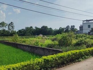 Từ 1.8, có được xây nhà trên đất nông nghiệp không?