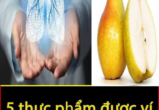 5 thực phẩm được ví là “máy hút bụi” cho phổi: Thường xuyên ăn, phổi sẽ được dọn sạch sẽ 5 thực phẩm được ví là “máy hút bụi” cho phổi: Thường xuyên ăn, phổi sẽ được dọn sạch sẽ