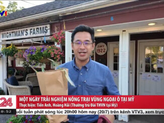 Từ thứ 2 tuần tới: Bản tin 19h của VTV chính thức vắng bóng 2 nhân tài rồi, toàn gương mặt ưu tú t;iếc quá