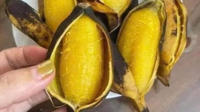5 loại quả Việt không có thuốc trừ sâu, ngon và sạch nhất chợ, đừng tiếc tiền mua 5 loại quả Việt không có thuốc trừ sâu, ngon và sạch nhất chợ, đừng tiếc tiền mua