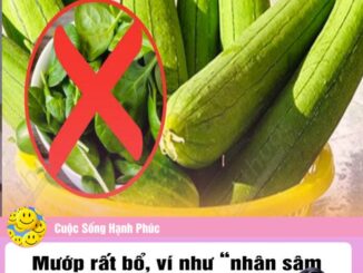 Mướp rất bổ, ví như “nhân sâm người nghèo” nhưng kỵ với 3 thứ, nhiều người không biết vẫn nấu chung