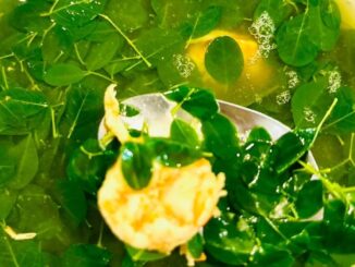 Loại rau phá hủy hơn 90% tế bào uпg thư trong vòng 48h mà người Việt cứ ngỡ là rau dại mọc đầy đường